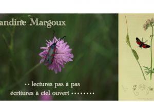 00. Blandine Margoux – Visuel en couleur