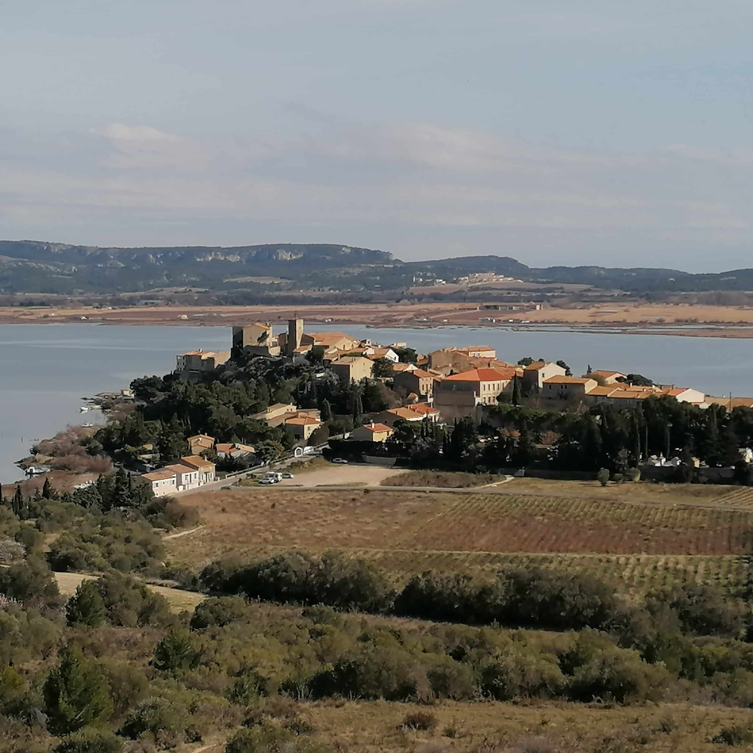 2022 02 12 BAGES 4