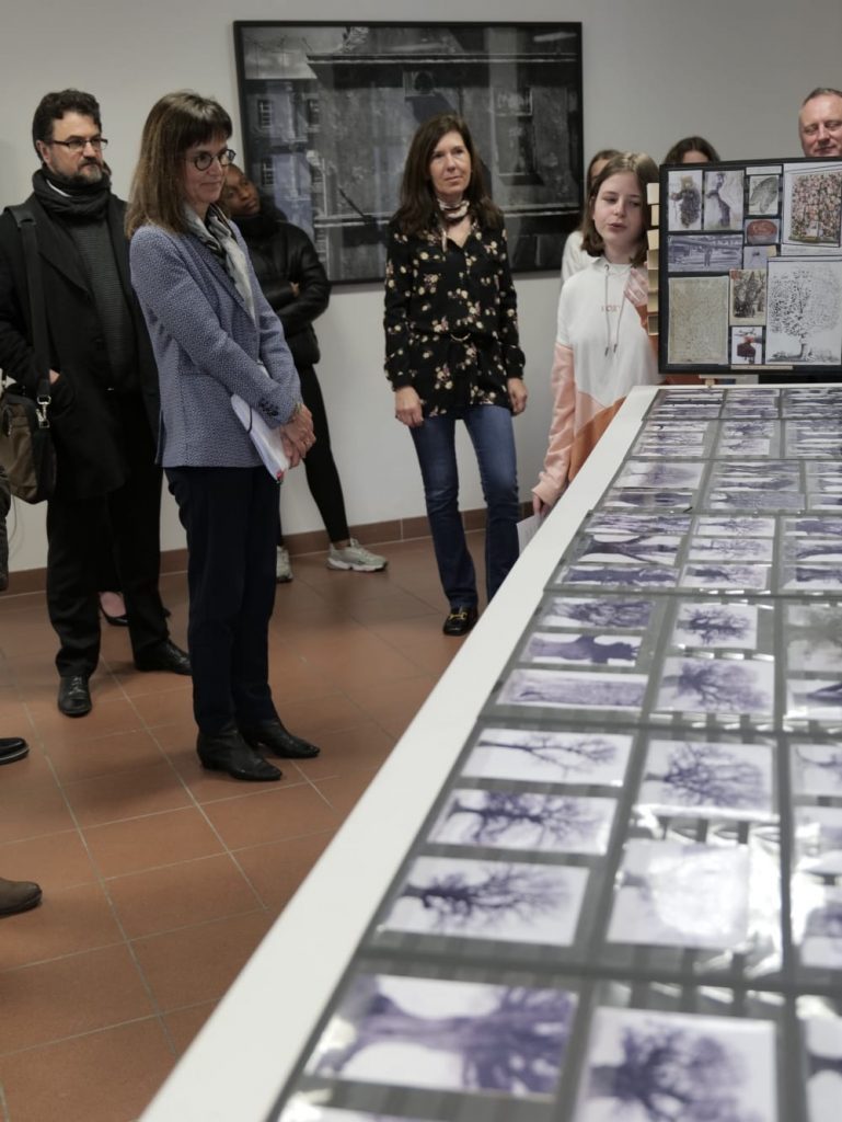 Sophie Béjean – Exposition