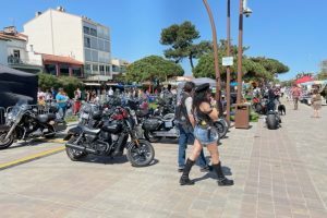 IMG_7331 (1)