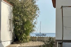 IMG_7929