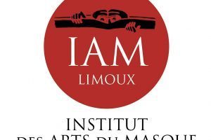 Logo IAM