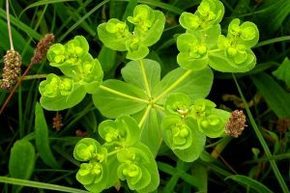 Masterclass 04 02
