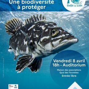 Affiche biodiversit%C3%A9