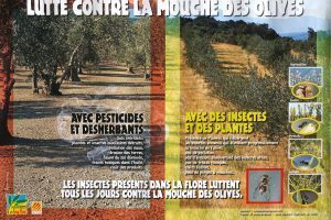 Affiche DSC09553