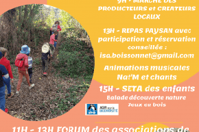 Affiche SETA FETE 2