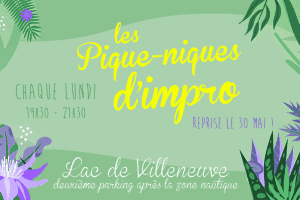 Cie pique nique impro