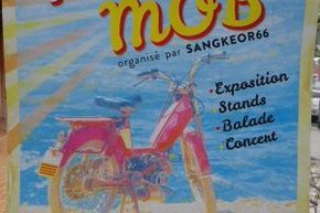 festi-mob (1)