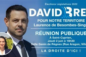 DAVID_REUNION_PUBLIQUE_SAINT_CYP