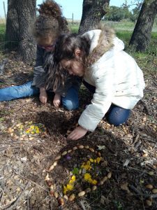 ecole_scandinave (5)