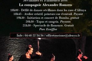 AFFICHE NUIT ANDALOUSE 2022 (1)
