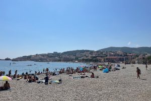 IMG_1488