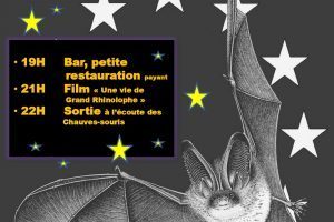 Nuit chauve-souris (1)_page-0001