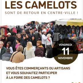 Appel %C3%A0 candidature camelots