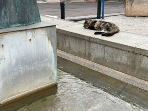 IMG_2401