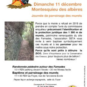 TRACT 11 DÉCEMBRE