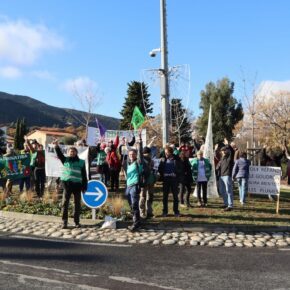 IMG-20221217-ROND POINTplant1