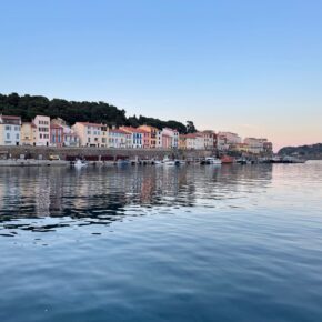 IMG_5529