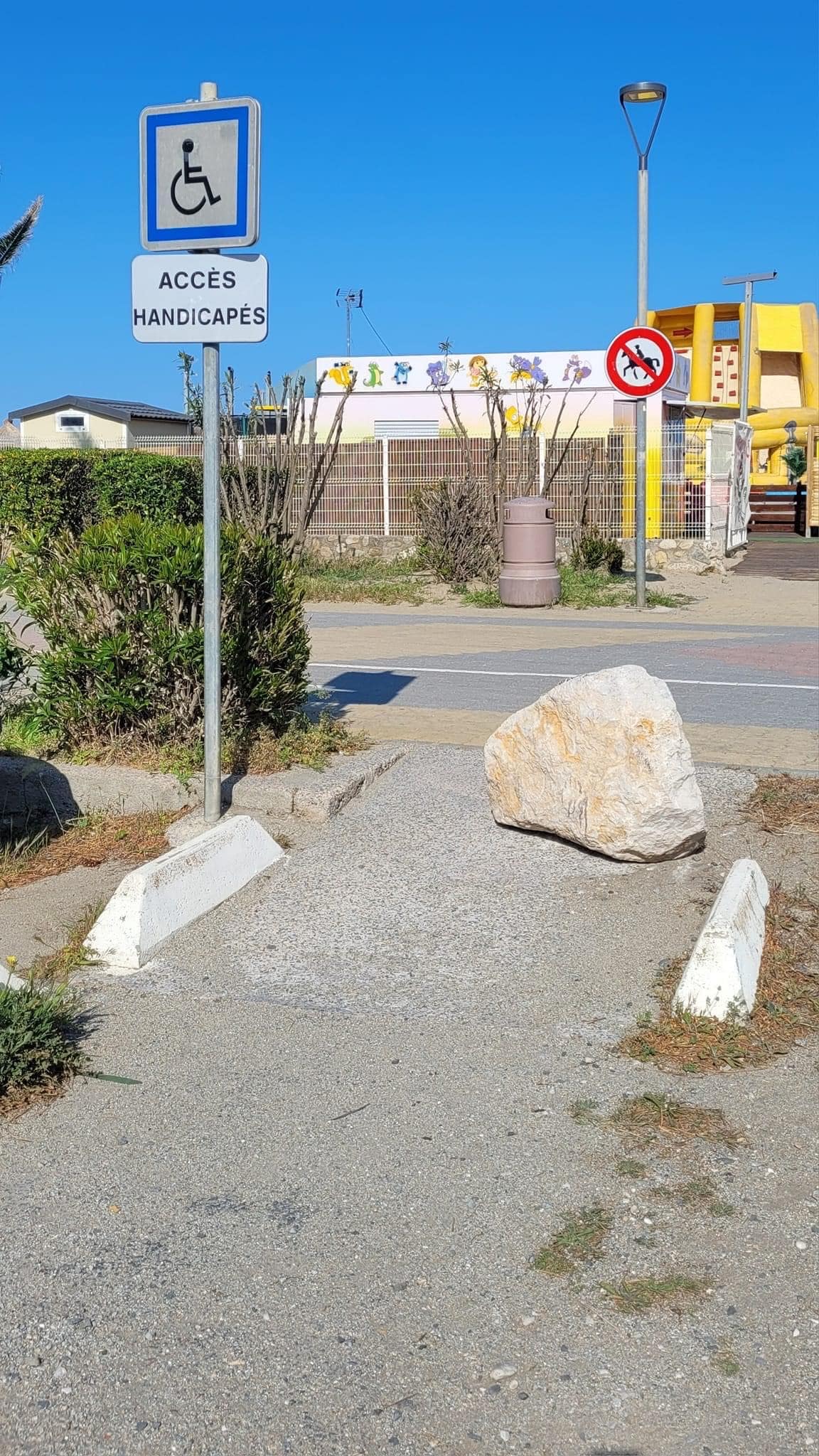 image_6483441