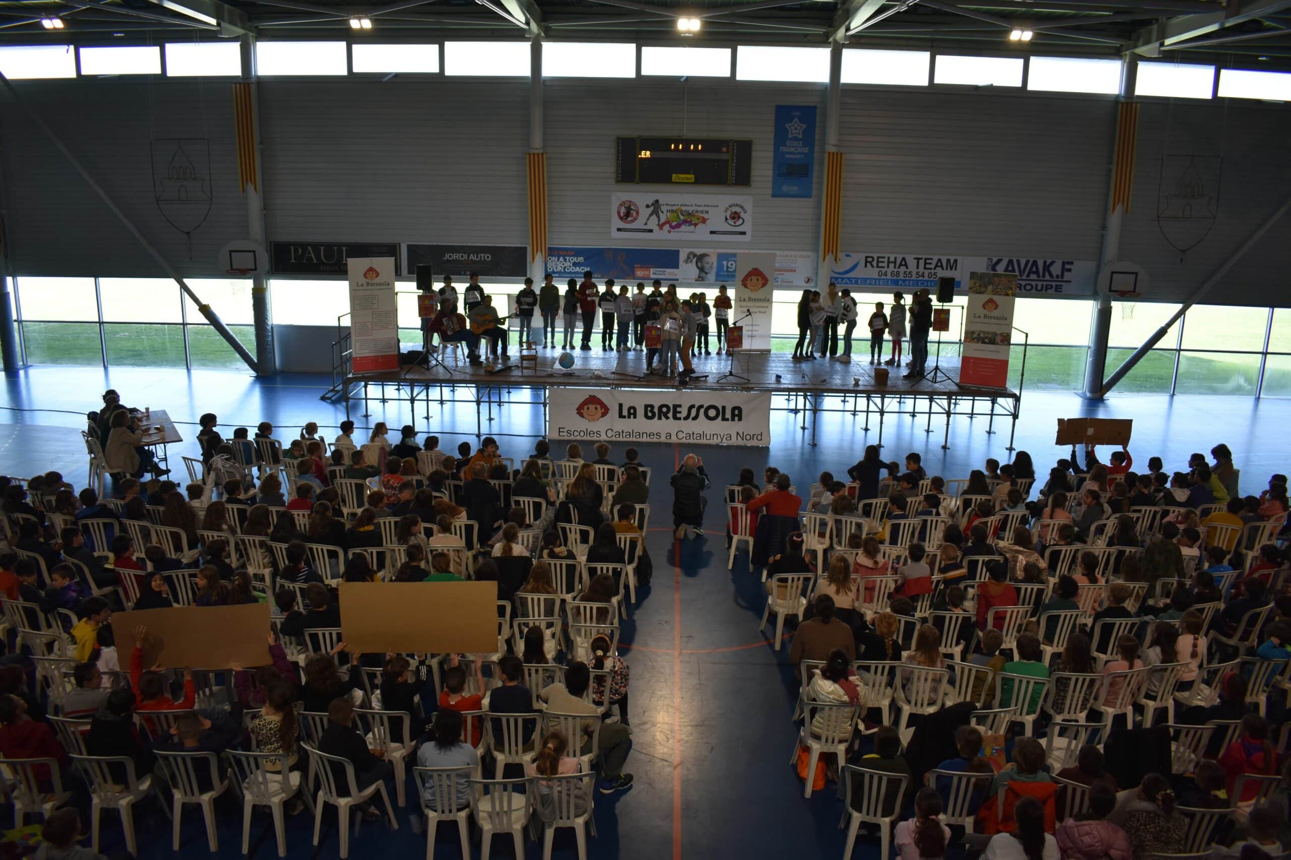 E2804481 mostra de glosa 3 scaled
