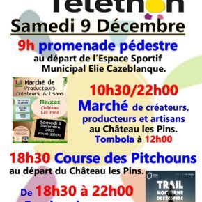 affiche village