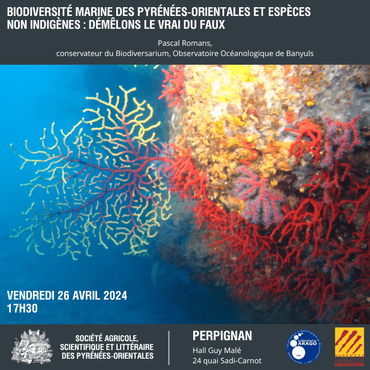Biodiversite_ marine des Pyre_ne_es-Orientales et espe_ces non indige_nes de_me_lons le vrai du faux-2