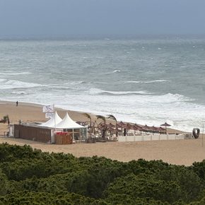 IMG_4168