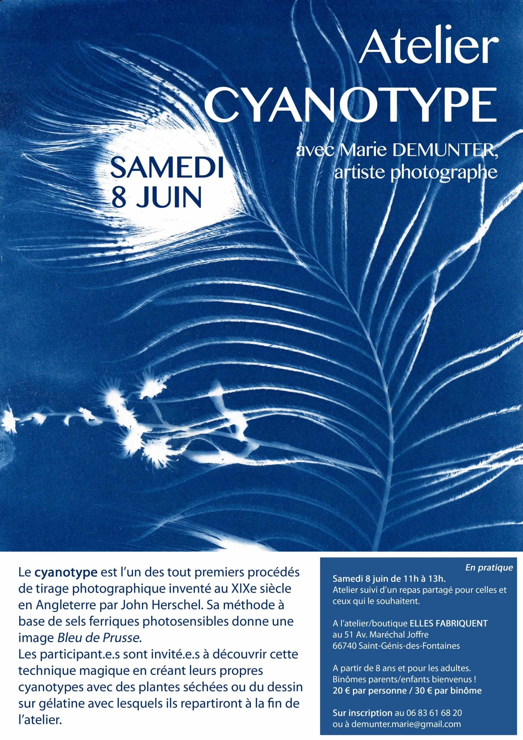 868d3bfc atelier cyanotype web scaled