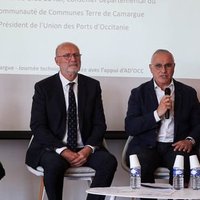 Sans titre 1