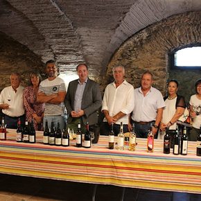 20240826-Mas_Reig-selection_vins-J (19)