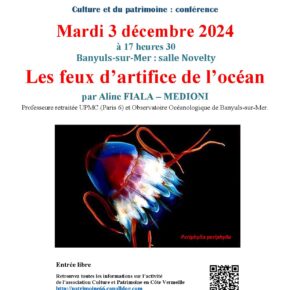 24.12.03 conf. feux d artifice – affiche-page-001