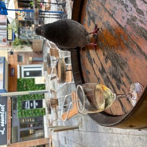 7aa5418b img 5477