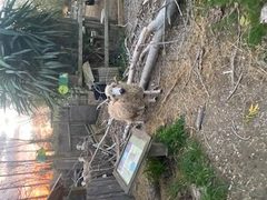 Cc73c70a img 0748