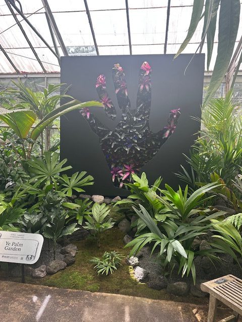 image10