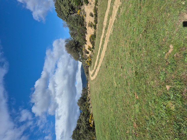 15ba1d26 20250417 101235