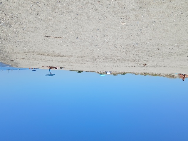 D388d06d 20250629 120720