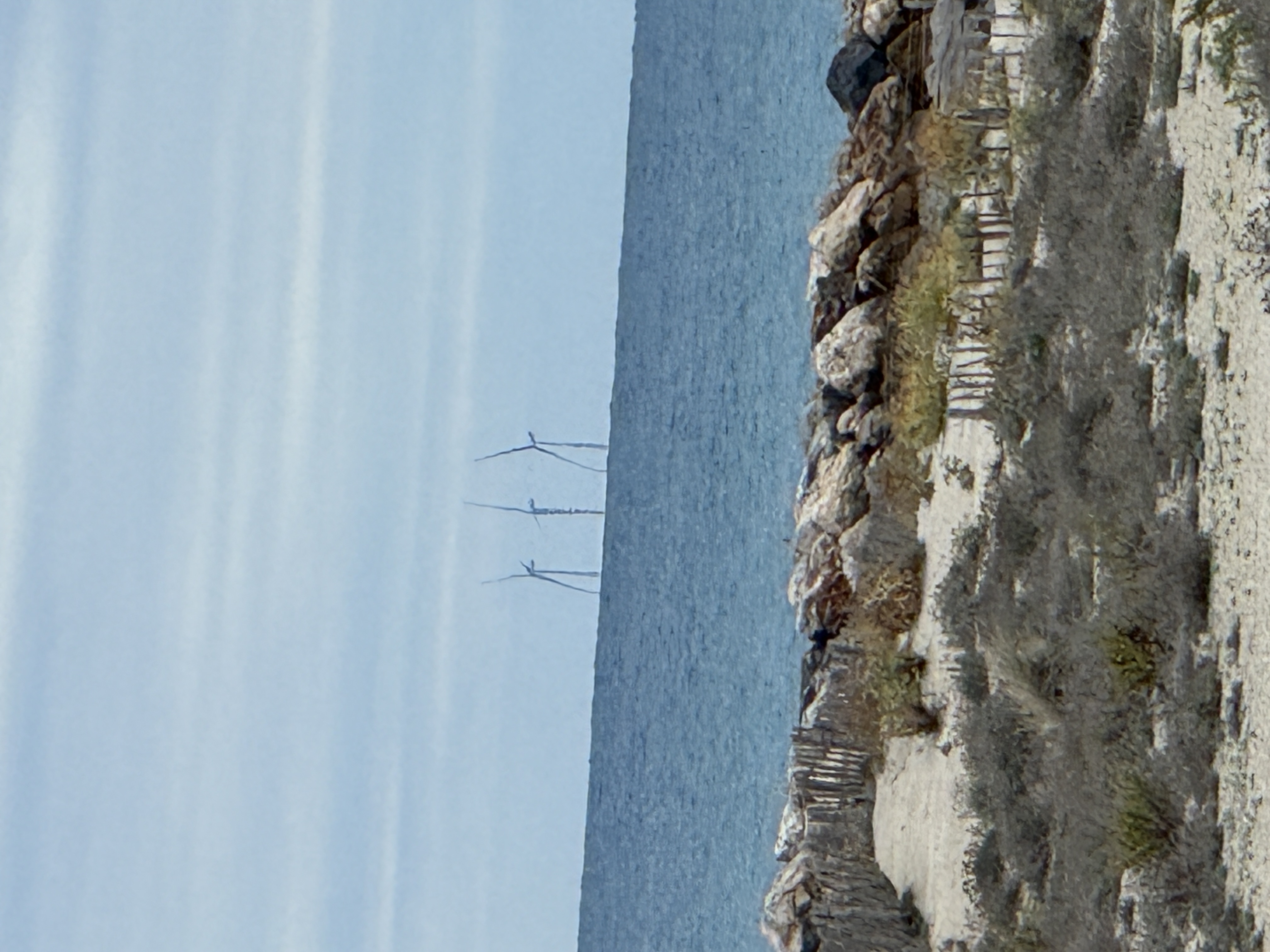 8af839c7 img 1691