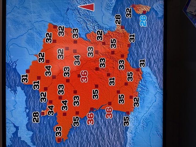 8fccb802 img 8602