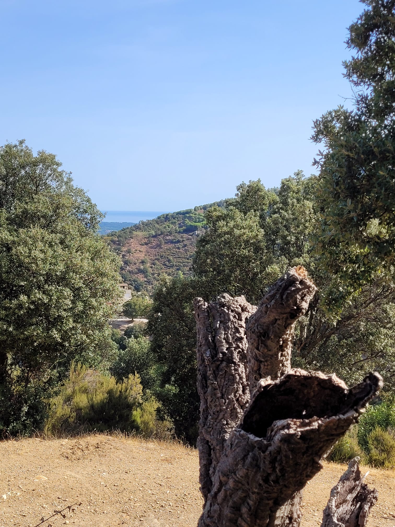 Photo 1 – Sortie NATURA 2000 SOREDE du 24 septembre 2026